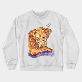 Sassy Little Boy Crewneck Sweatshirt